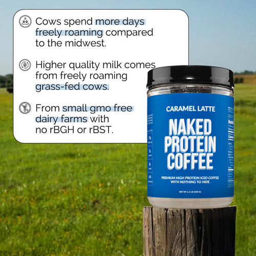Caramel Latte Protein Iced Coffee - Caramel Latte with a Convenient Coffee Protein Blend