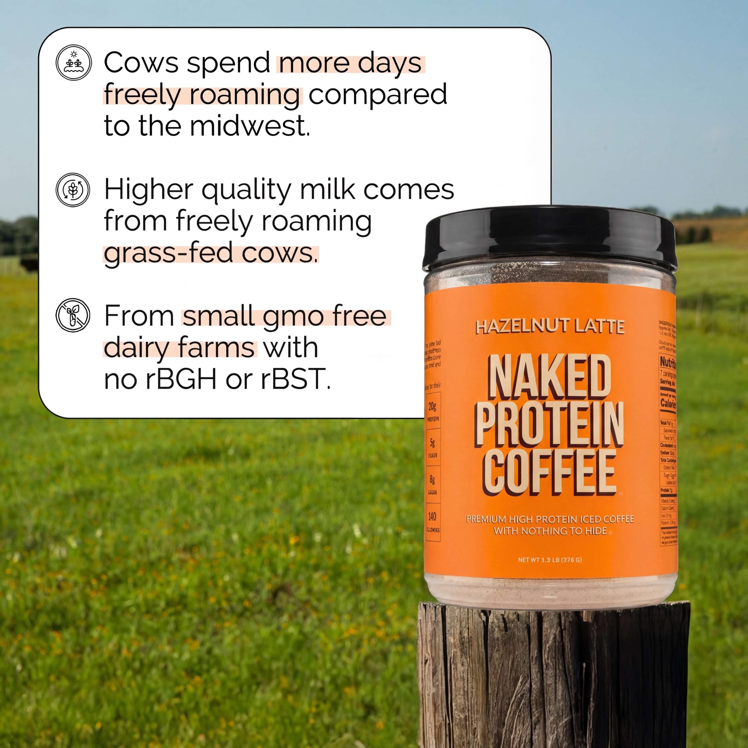 Hazelnut Latte Protein Iced Coffee - Hazelnut Latte with a Convenient Coffee Protein Blend