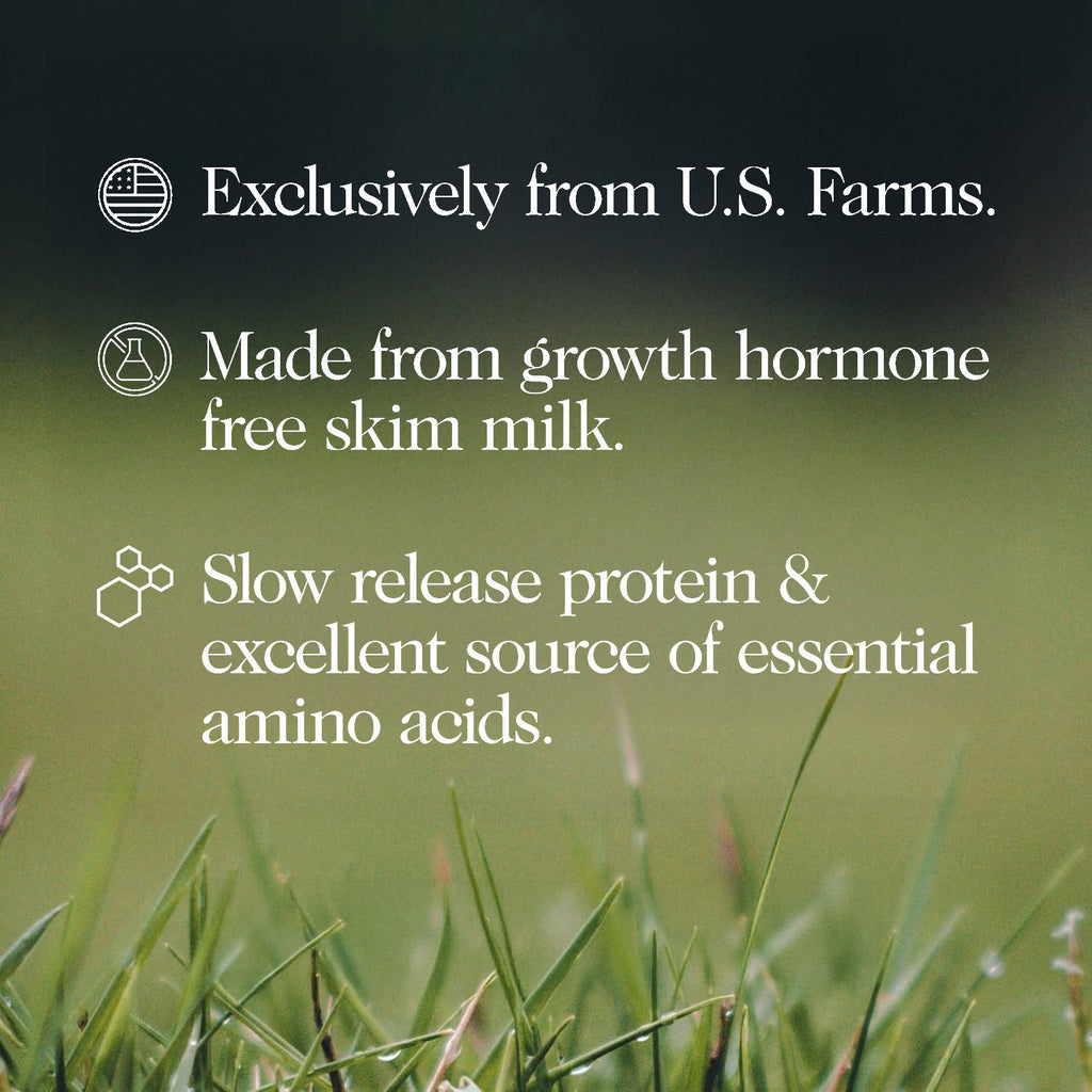 Vanilla Casein Protein Powder - Vanilla - Standard Size for Easy Mixing at Home or On the Go
