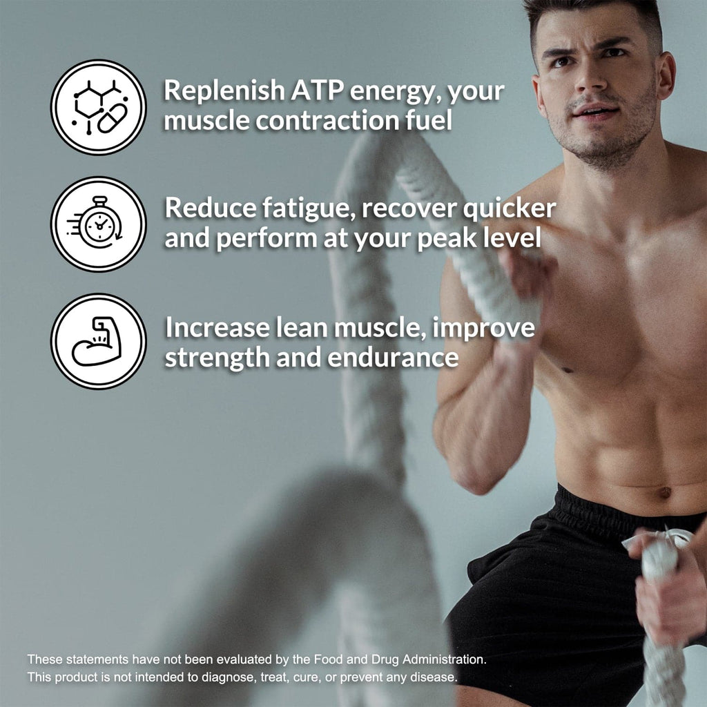 Creatine Monohydrate Powder - Unflavored - Standard Size with an Easy - Mix Workout Format