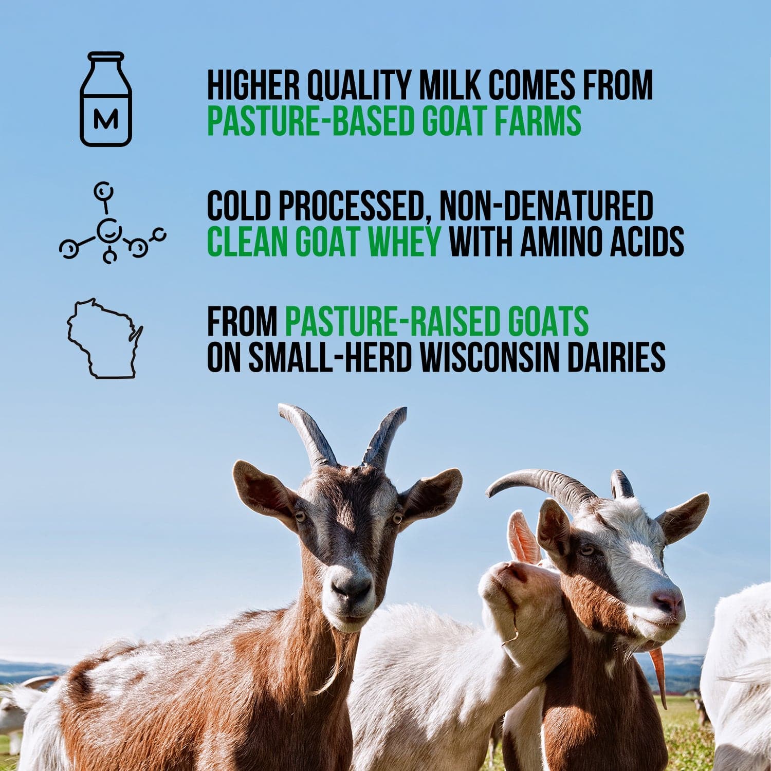 Vanilla Goat Whey Protein Powder - Vanilla for Easy Mixing at Home or On the Go
