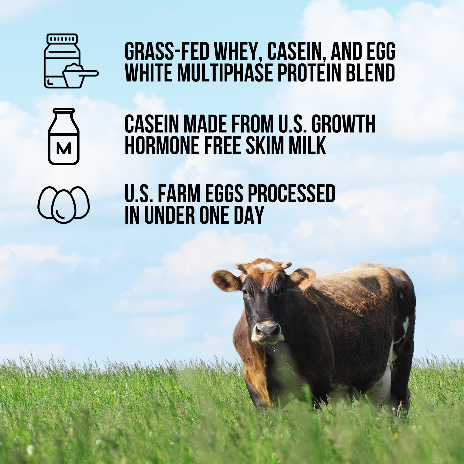 Protein Powder Blend - 1LB Egg Whey and Casein Protein Blend - 1LB for Easy Mixing at Home or On the Go