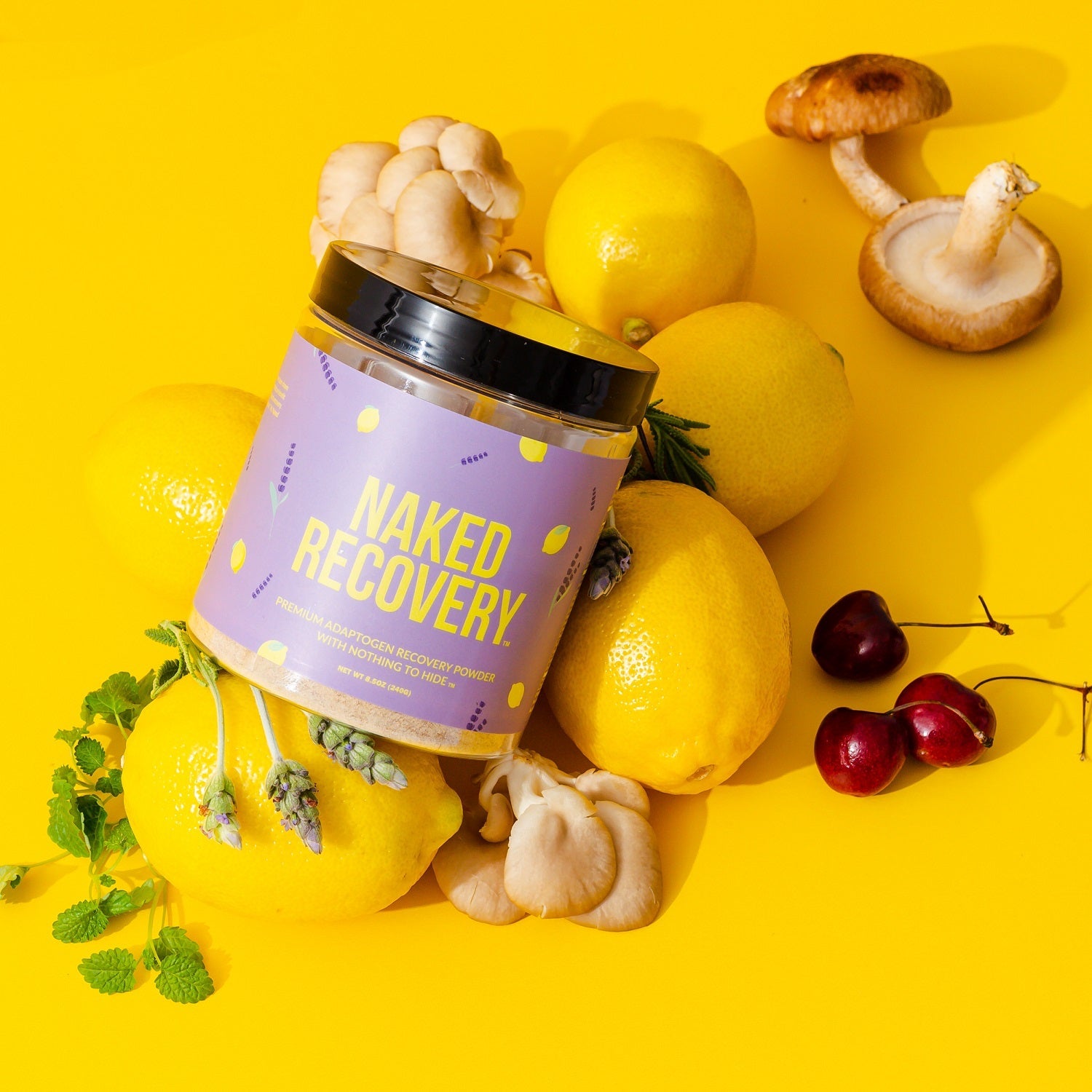 Mushroom Blend Supplement with Tart Cherry and Lemon Balm for Easy and Consistent Daily Use