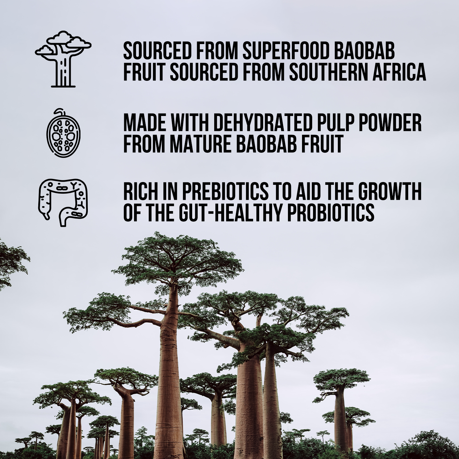 Organic Fiber Supplement for Easy and Consistent Daily Use