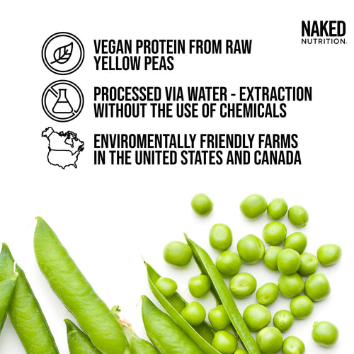 Chocolate Peanut Butter Pea Protein Powder - Chocolate PB - Chocolate Formula for Easy Mixing at Home or On the Go